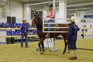 20170324-Equitana-Ute-Holm-und-Alexandra-Schürmann-Hilfestellung am-Tor