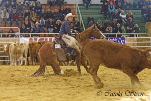 20151011-Q15-VRH-Ranch-Cutting-2