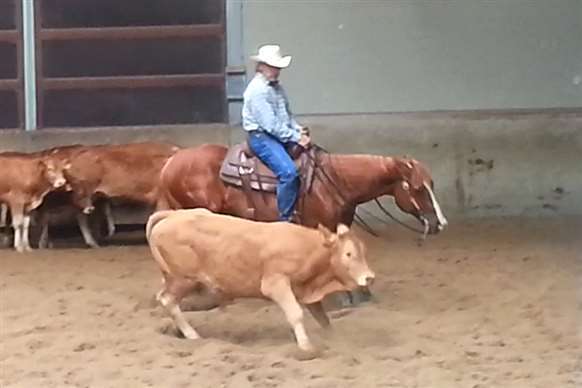 You are currently viewing Low Land Cutting Tour, T&C Western Stables, Brunssum (NL)