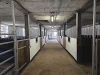 Freie Pferdeboxen im Stall